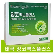 태극제약 징코맥스플러스 약국판매용 은행잎추출물 120캡슐 4개월분량, 120캡슐 4개월