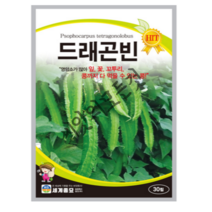 드래곤빈 베트남콩 씨앗 영양소가 많아 잎 꽃 꼬투리 콩까지 다 먹을 수 있는 종자