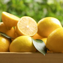 인기 있는 레몬6kg중과 추천순위 TOP50 상품 목록