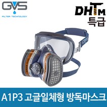 [GVS] 일립스 A1P3 고글일체형 방진방독마스크 (특급) 기본필터포함/ SPR444 (소형)/ SPR401 (대형), 2. SPR401 대형 (필터포함)