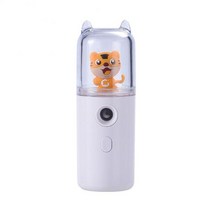 30ml 미니 나노 안개 얼굴 분무기 미용 기기 USB 가습기 충전식 기선 모이 스처 라이징 뷰티 도구, [11] C white