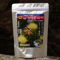 토종 가시 흰 홍화씨 분말 250g~ 겨울나고 유황뿌린 홍화씨, 250그램 2개