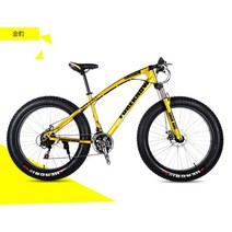 펫자전거 바퀴큰 성인 mtb 팻 바이크, 24단, 24인치, 4. 골드