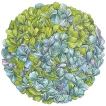 Hester & Cook식탁용 꽃 종이 플레이스 매트 - 봄 여름 시즌용 원형 목련 일회용 패드 당 12장 미국산, Hydrangea