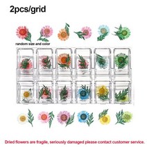 레진아트키트 만들기 공예 키트 레진 아트 몰드 세트 재료 DIY 탑꾸 1 상자 말린 꽃 건조 식물 diy 네일 장식 rsein 금형 충전물 에폭시 수지 펜던트 족집게--msS, 스타일21