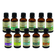 더아로마샵 유기농 에센셜 아로마 오일 라벤더 호텔 테라피 가습기 숙면에좋은향, USDA 로즈마리 에센셜 오일, 30ml