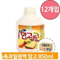 대용량 과일 농축액 850ml 12개 망고 음료 원액 베이스 카페 스무디 슬러시
