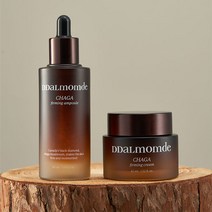 딸맘드 캐나다산 차가버섯 탄력 앰플 비건 인증 50ml, 차가 탄력 앰플 50ml+ 탄력 크림 45ml