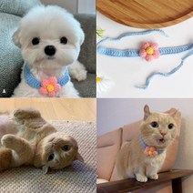 강아지 케이프 고양이 턱받이 목도리 스카프 꽃송이 악세사리, [오뭐냥] 꽃한송이-핑크 케이프