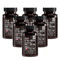 리뉴얼 비타민B6 마그네슘 미국산 1300mg 360캡슐 12개월 수험생 시니어, 리뉴얼 마그네슘 비타민B6 6통