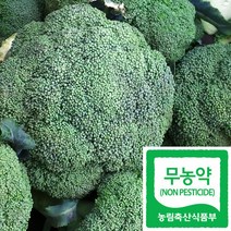 국산 친환경 무농약 브로콜리 (1통당 약300-350g), 2통 (약 600g~700g)