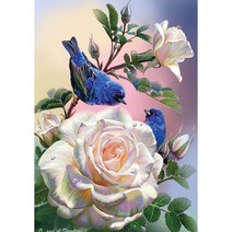 올레보 액자 캔버스형보석십자수 Diy세트 라운드 비즈 핫 제품 꽃 30 X 40 cm, 1세트, G1425.올레보 새와 장미