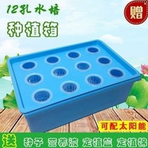 수경재배포트 수경재배채소 새싹재배기 딸기수경재배 새싹보리수경재배기 실내수경재배 보리새싹재배기 상추수경재배기 상추재배기 야채재배기 야채키우기, 그림과 같이 1, 시멘트, 청색태양광산소충전형수배탱크