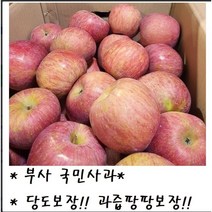 맛 보장!! 과즙팡팡 보장!! 산지직송 고당도 청송 부사 사과 3kg/5kg/10kg, 5kg(꼬마사과)_28~33개