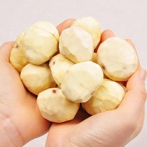 [푸르젠] 충남 부여 달하산농장 깐 밤 (생율) 1kg (특대 혼합) 깐밤, 1개, 1kg(특대 혼합)