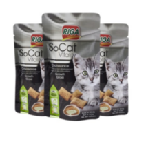 RIGA 고양이 소캣 바이탈리티 그로스 스낵 50g 칠면조, 6개, 칠면조고기