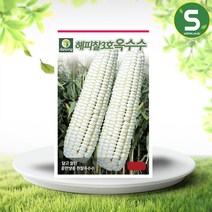해피찰3호 옥수수씨앗 70립 흰찰옥수수 씨앗 종자, 1개