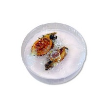 EM 친환경비누 5명 1SET (가열장치 포함)