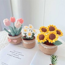 뜨개질패키지 모직 부케 재료패키지 화분 튤립 데이지, (재료 패키지)데이지 화분 +도구 +튜토리얼