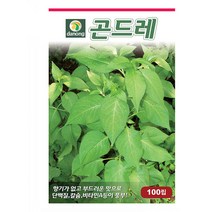 곤드레(고려엉겅퀴) 1000립 곤드레(고려엉겅퀴)씨 곤드레(고려엉겅퀴)종자 곤드레(고려엉겅퀴)씨앗