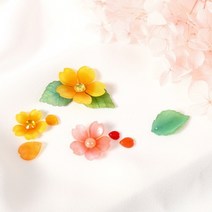 슈링클 꽃모양 마술종이