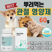 강아지 고양이 조인트 관절 강화 통증 개선 영양 완화제 joint 슬개골 무릎 앞 뒷다리 천연 소염제 산책 걷지 못하는 고관절 이형성 탈구 노령 견 묘 연골 건강 몰티즈 소형견, 1통