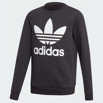 아디다스키즈 뉴코아 OUTLET 아디다스키즈 주니어 트레포일 크류 ED7797 NC