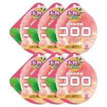 등산간식 사무실 간식 주전부리 라이딩 코로로 젤리 복숭아 40g 6개, 01. 코로로 젤리 복숭아 40g 6개