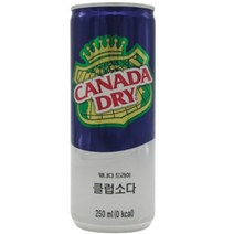 캐나다 드라이 클럽소다 250ml 5개