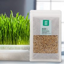 국산 새싹보리씨앗 1kg (500g x 2봉) 지퍼백 소포장 l 컽보리 보리새싹 키우기, 2개