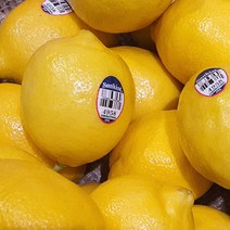 팬시 레몬 중과 수입 미국 칠레 생 수제청 에이드 워터 레몬청 레몬즙 만들기 생과, 3kg/중과/25과내외/120g