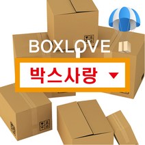 박스사랑 고강도/택배박스/우체국 규격/이삿짐, A34 250mm x 210mm x 120mm B골, 100장