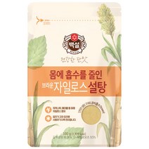 CJ 제일제당 백설 브라운 자일로스 설탕 500g - 마니싸마켓, 1개