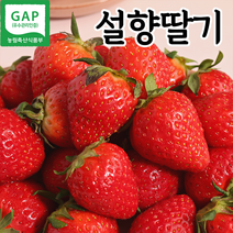 딸기2kg 로켓배송 무료배송 모아보기