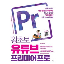 왕초보 유튜브 프리미어 프로, 진서원