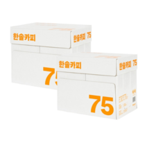한솔 A4 복사용지 75g 2박스 5000매