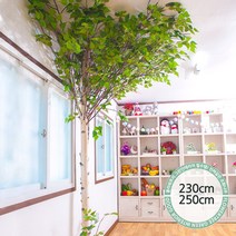 실내인테리어 인조나무 123종 / 플트 조화나무 C, C06.천장형 T자형 자작나무 230cmK/코너형, 1개