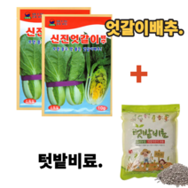 한국종묘 엇갈이배추씨앗 10g-2봉+텃밭비료2kg 광택있는잎 모양 맛이좋음 가정원예용