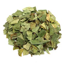 동의한재 국산 햇 삼백초 차 3kg, 단품