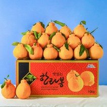 [당도보장] 달콤한 제주 한라봉 2.5kg 5kg 10kg 선물세트 제주도 한라봉 벌크형, 1box, 10kg 41-50과