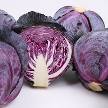 적채 1kg내외 팔팔마켓 국산 자색 빨간 적 색 양배추