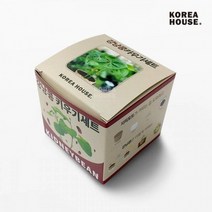 강낭콩 키우기 세트 베란다 텃밭 홈가드닝 식물 기르기