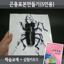 곤충표본만들기 5인재료교재 동영상, 단품