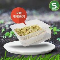 미니 새싹재배기 새싹 씨앗 키우기 유치원 체험 학습, 1개
