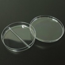 세균배양접시 2분할 페트리샬레 10개 교육완구 학습완구 수업용