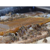 꿀벌사료 화분떡 벌먹이 양봉 자재 양봉용품 꿀벌 농가 양봉 도구 벌식 벌 사료, 150g X 25팩
