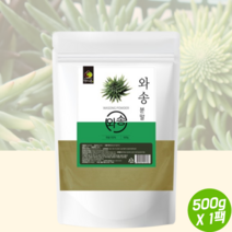 와송 신탑 탑송 바위솔 국내 재배 생와송 분말 가루 주스 쥬스 음료 차 500g 1팩, 1개