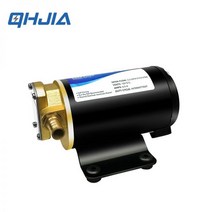 정량 펌프 소형 모터 전기 고압 기어 오일 연료 자체 프라이밍 디젤 흡입 트럭 마이크로, 24V