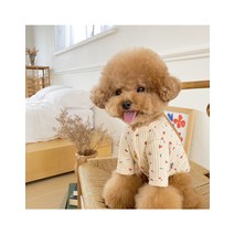 꽃체리 와플 강아지가디건 2color 봉쥬르뚜뚜