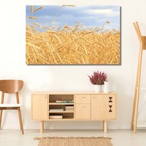 벼이삭 가을 와이드 풍경 사진 그림 액자 10호(53x33cm)